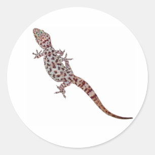 Leopard Gecko Ronde Sticker