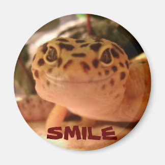 Leopard Gecko Smile Magnet Magneet