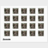 Leopard Habitat Stickers (Vel)
