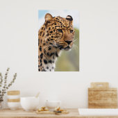 Leopard Head Shot Poster (Keuken)