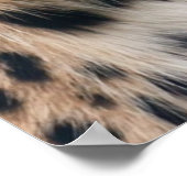 Leopard Head Shot Poster (Hoek)