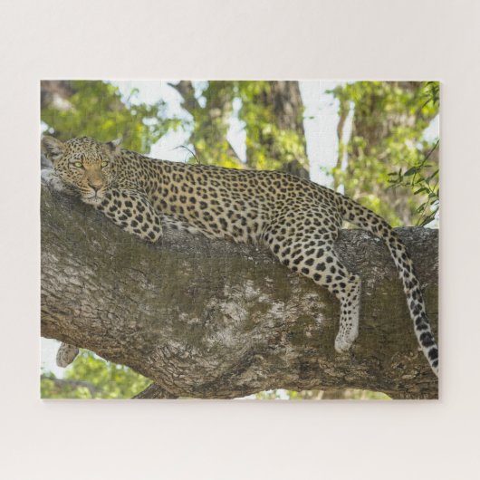 Leopard in Natuur met bomen Foto Legpuzzel (Horizontaal)