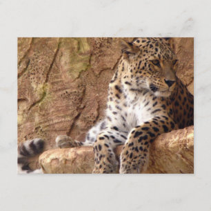 Leopard Invitation Kaart