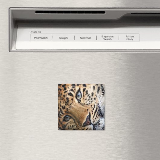 Leopard Magneet (Insitu (Vaatwasser))