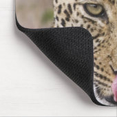 Leopard Muismat (Hoek)