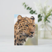 Leopard Photo Briefkaart (Staand voorkant)