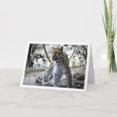 Leopard Portrait Kaart (Voorkant)