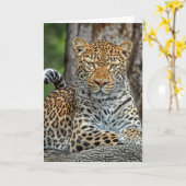 Leopard Portrait Kaart (Gele Bloem)