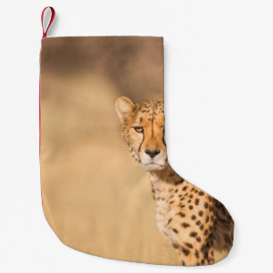 LEOPARD PORTRAIT KLEINE KERSTSOK