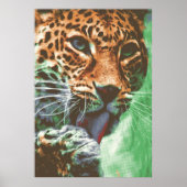 Leopard Portrait Poster (Voorkant)