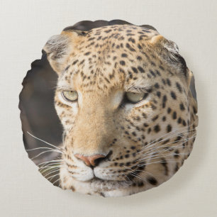 Leopard portret rond kussen
