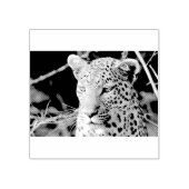 Leopard portret 	rubberstempel (Afrduk)