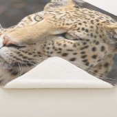 Leopard-portretfoto Sherpa Deken (3/4)