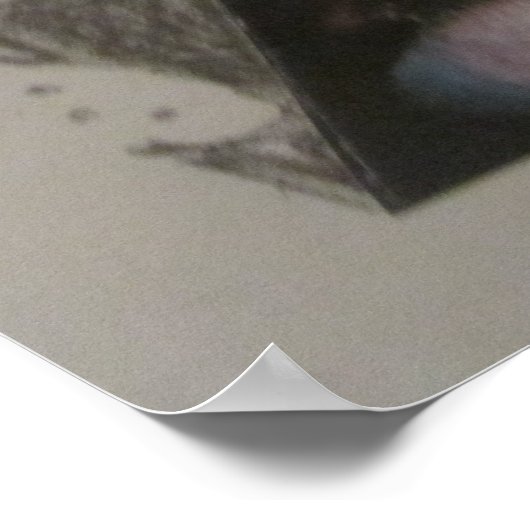 Leopard Poster (Coin)