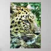 LEOPARD POSTER (Voorkant)