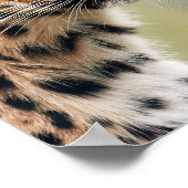 Leopard Poster (Hoek)