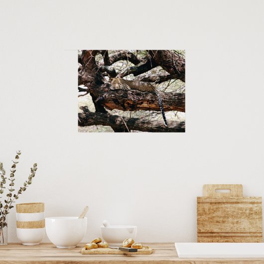 Leopard Poster (Keuken)