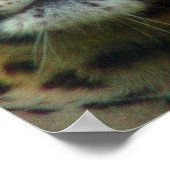 Leopard-Poster afdrukken Poster (Hoek)