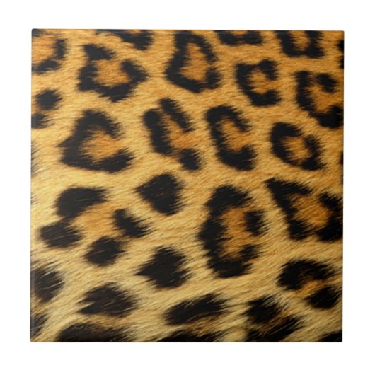 Leopard Print Tegeltje (Voorkant)