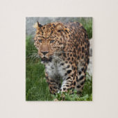 Leopard Puzzle (Vertical)