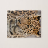 Leopard Puzzle (Horizontal)