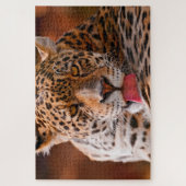 Leopard reinigde zijn poten op de grond legpuzzel (Verticaal)