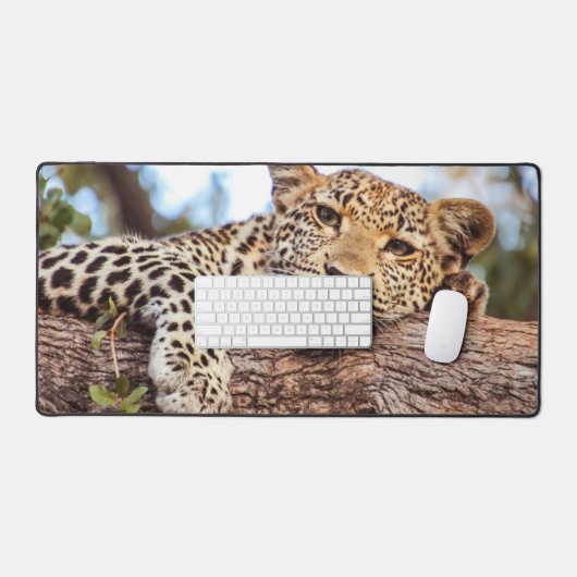 Leopard Relaxant (Clavier et souris)