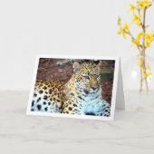 Leopard Relaxing Kaart (Gele Bloem)