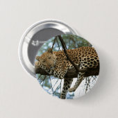 Leopard Resting in Tree Ronde Button 5,7 Cm (Voorkant /achterkant)