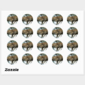 Leopard Resting in Tree Ronde Sticker (Vel)