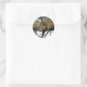 Leopard Resting in Tree Ronde Sticker (Tas)