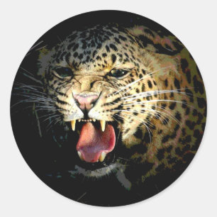 Leopard Ronde Sticker