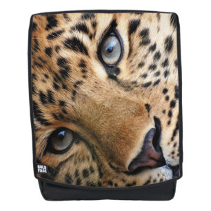 Leopard Rugtassen