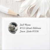 Léopard Sceau Adresse de retour Étiquette (En situation)