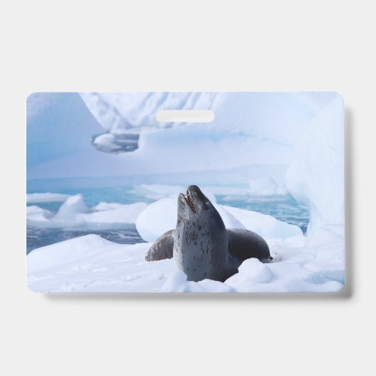 Leopard Seal Badge (Voorzijde)