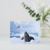 Leopard Seal Briefkaart (Staand voorkant)