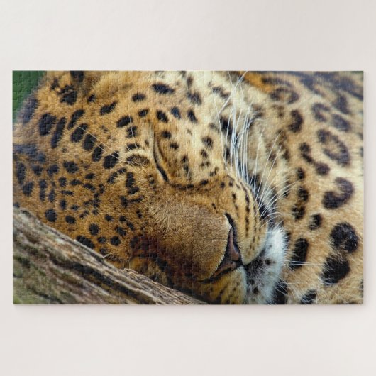 Leopard slaapt in een logboek legpuzzel (Horizontaal)