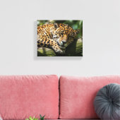 leopard sleeping canvas wall art (Insitu (Woonkamer))