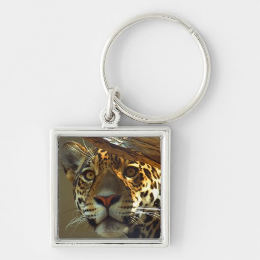 Leopard Sleutelhanger (Voorkant)