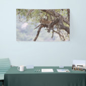 Leopard Spandoek (Beurs)