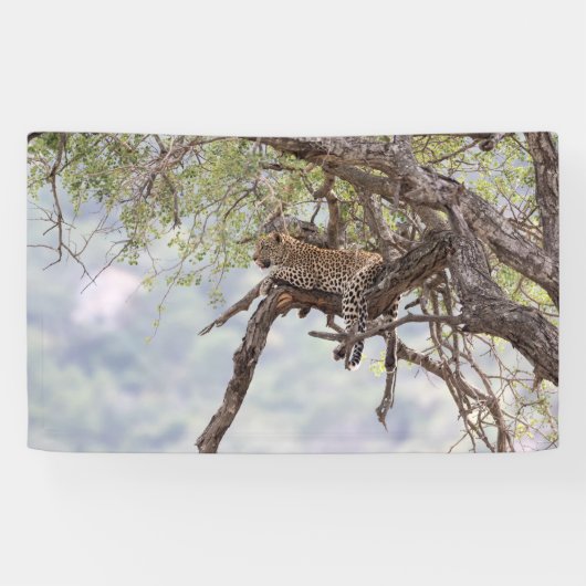 Leopard Spandoek (Horizontaal)