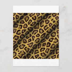 Leopard Spots Briefkaart