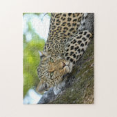 Leopard Spots Legpuzzel (Verticaal)