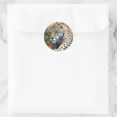 Leopard Stalking Macro Ronde Sticker (Tas)