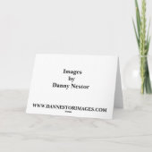 Leopard Stare Kaart (Achterkant)