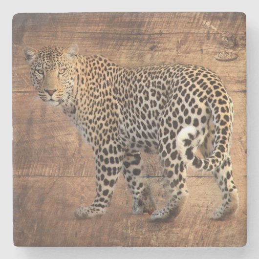 Leopard Stenen Onderzetter (Voorkant)