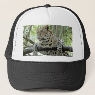 Leopard Sundari_006 Trucker Pet