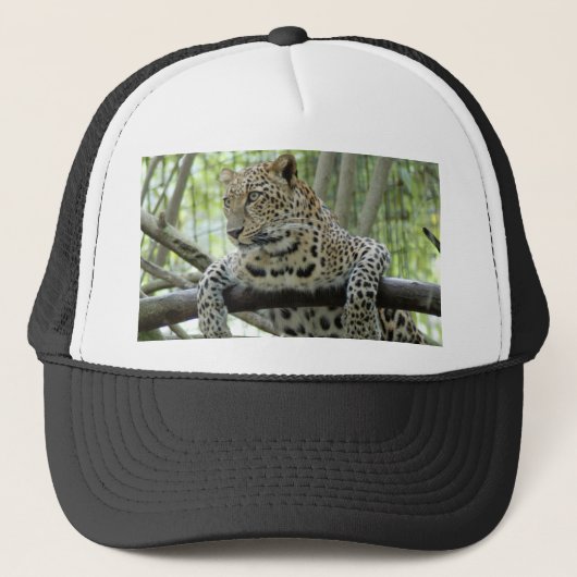 Leopard Sundari_006 Trucker Pet (Voorkant)