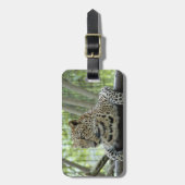 Leopard Sundari_007 Bagagelabel (Voorkant verticaal)