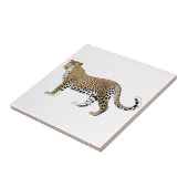Leopard Tegeltje (Zijkant)